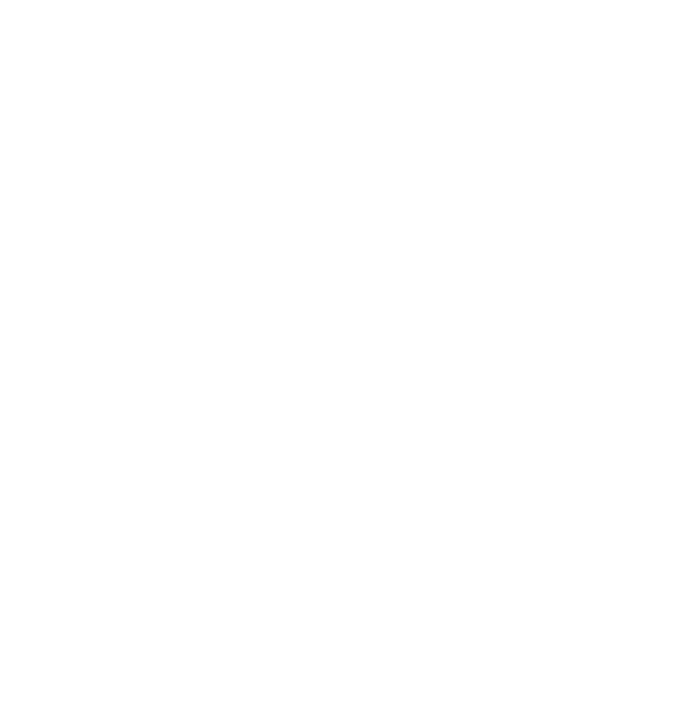 Pharmaverso Logo
